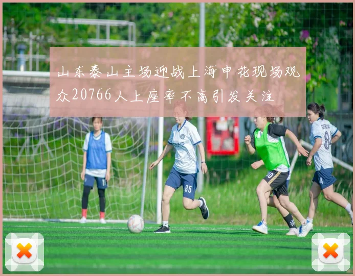 山东泰山主场迎战上海申花现场观众20766人上座率不高引发关注