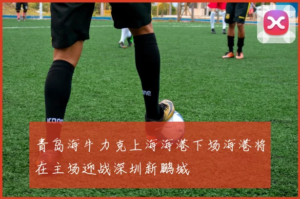 青岛海牛力克上海海港下场海港将在主场迎战深圳新鹏城